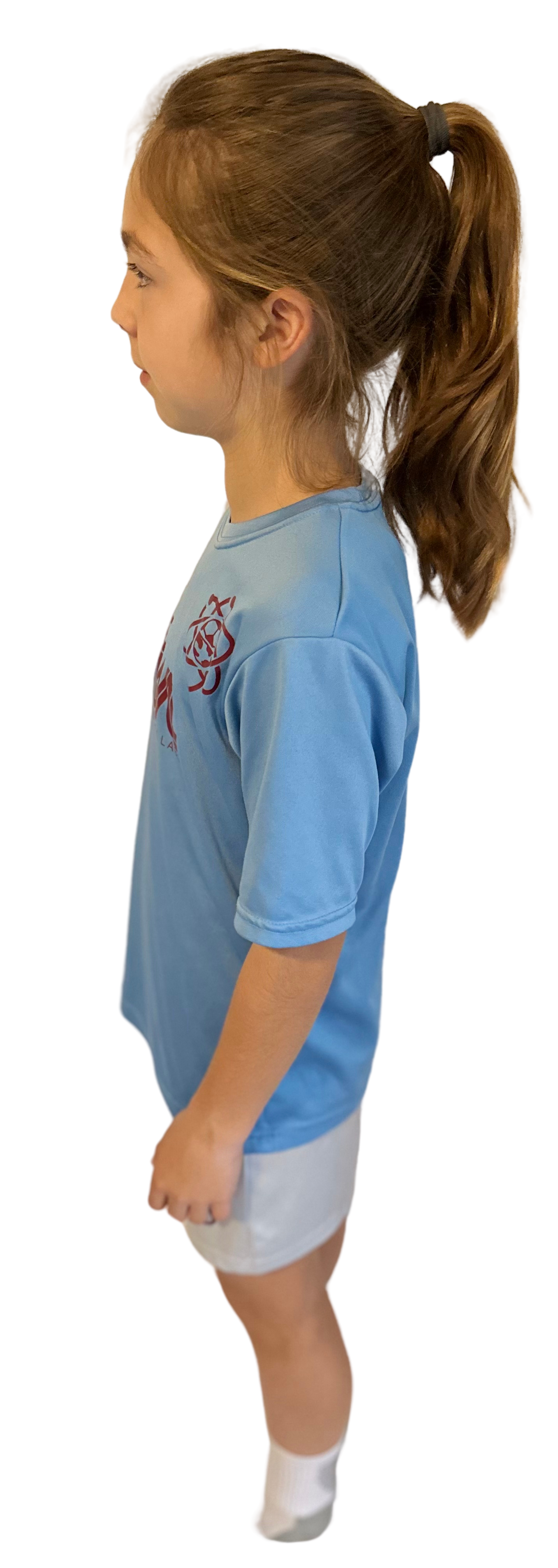Polar Blue Footwork Lab Kit