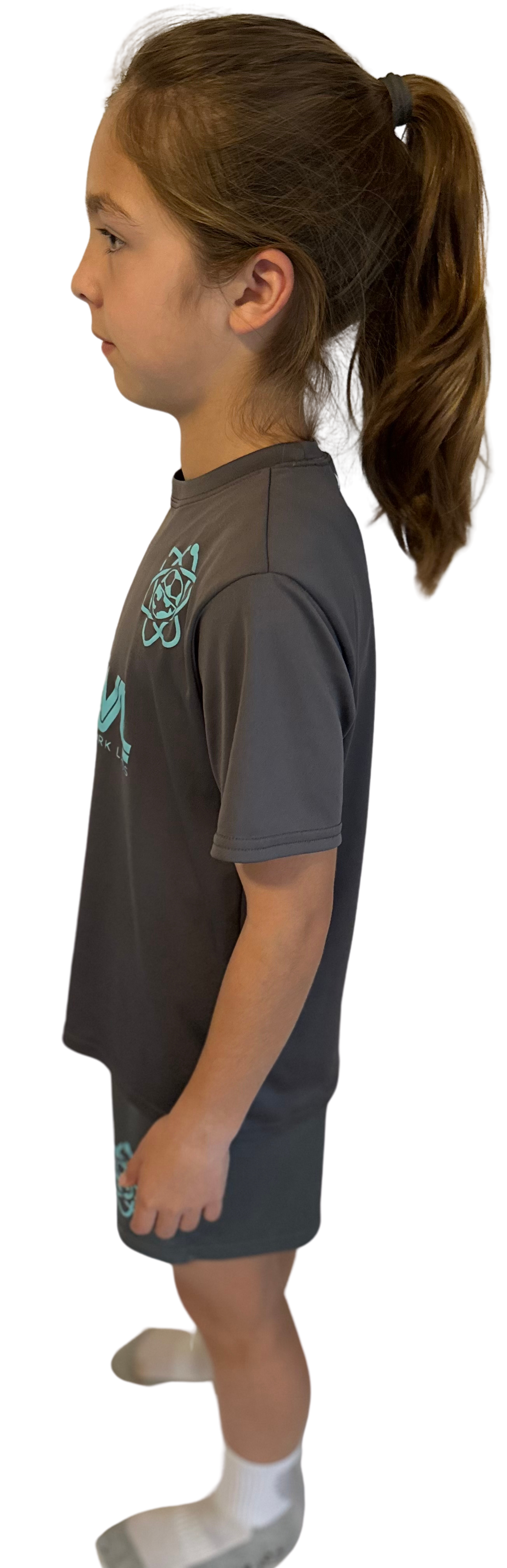 Smoke Grey Footwork Lab Kit